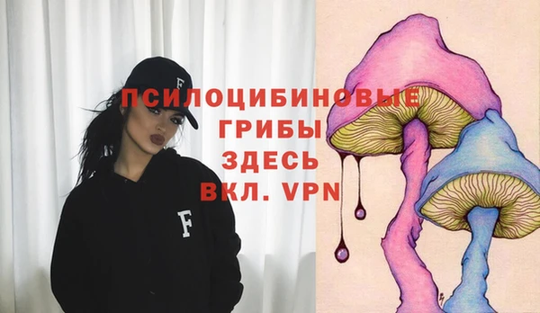 герыч Магадан