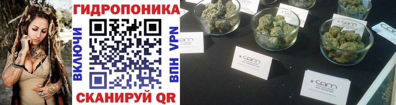 площадка состав  Новое Девяткино  Шишки марихуана сатива 